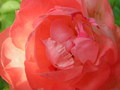 2007-Louisiana-Mission-Trip EBC (475).JPG